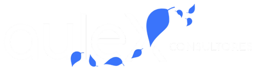 Aulex Consultores